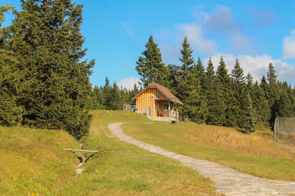 Apartments Rogla Zreče Dış mekan fotoğraf