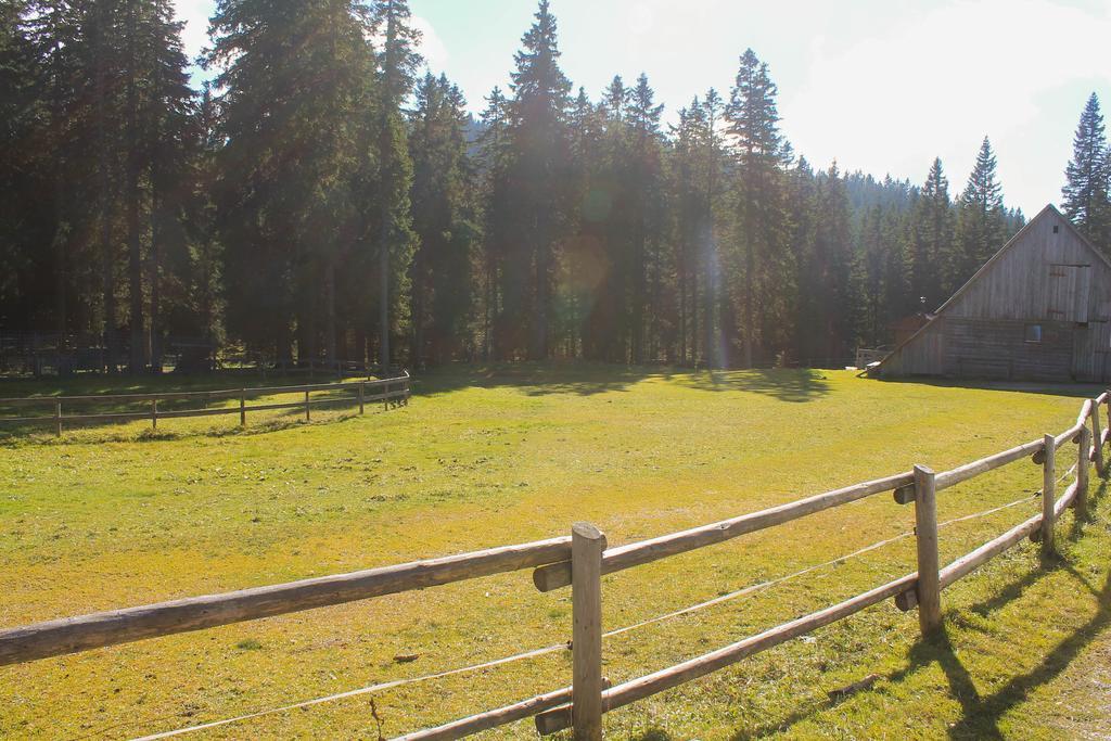 Apartments Rogla Zreče Dış mekan fotoğraf