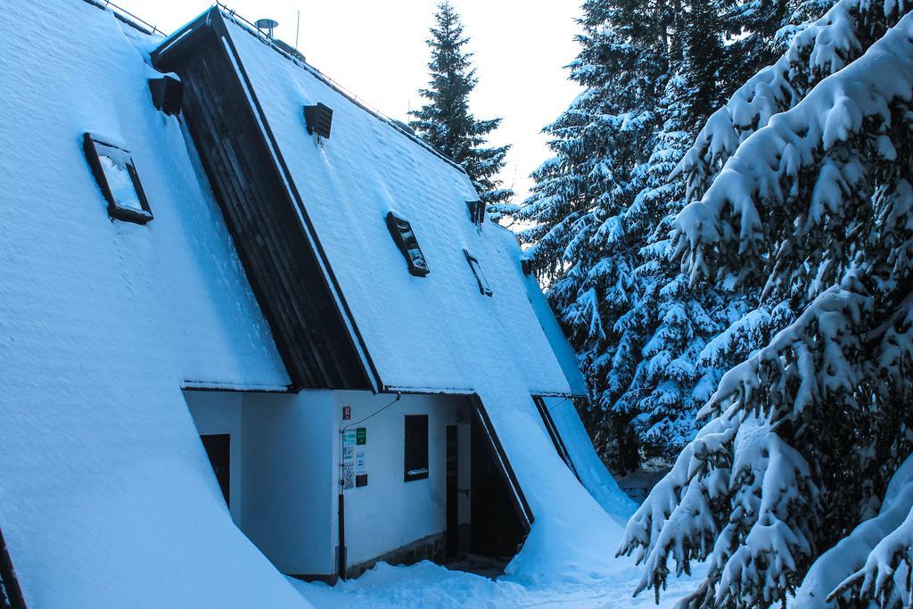 Apartments Rogla Zreče Dış mekan fotoğraf